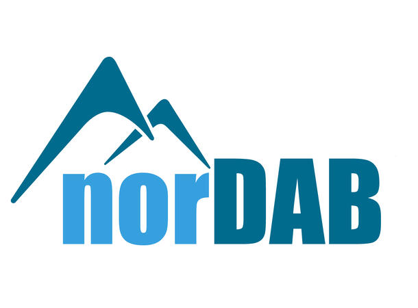 norDAB Premium DAB-integrering Audi Audi MMI 3G (med OEM DAB)