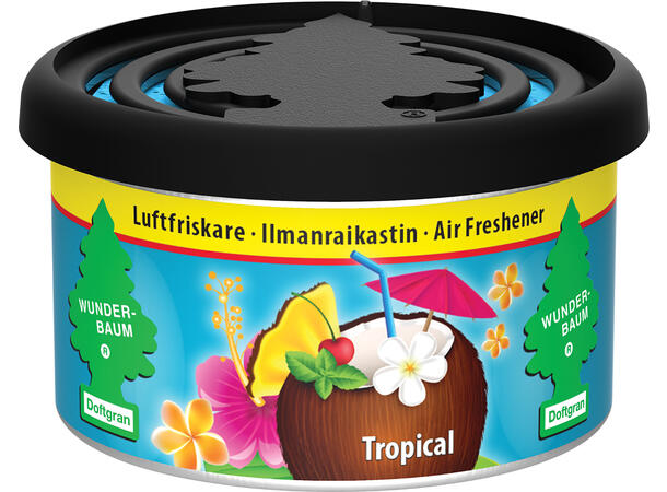 Wunder-Baum Fiber can tropical Fiber can tropical