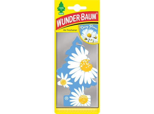 Wunder-Baum Daisy flower Daisy flower