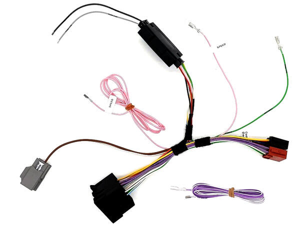 ESX CAN-Bus Interface Fiat Ducato 8