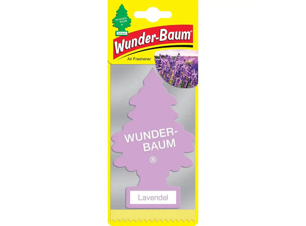 Wunder-Baum Lavendel Lavendel